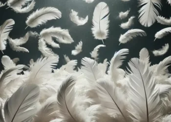 Frigorífico de aves de Indaial exportará penas e plumas de pato para a Europa