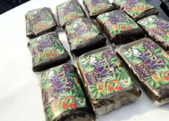 PRF localiza haxixe escondido em garrafas térmicas na BR-101, em Barra Velha