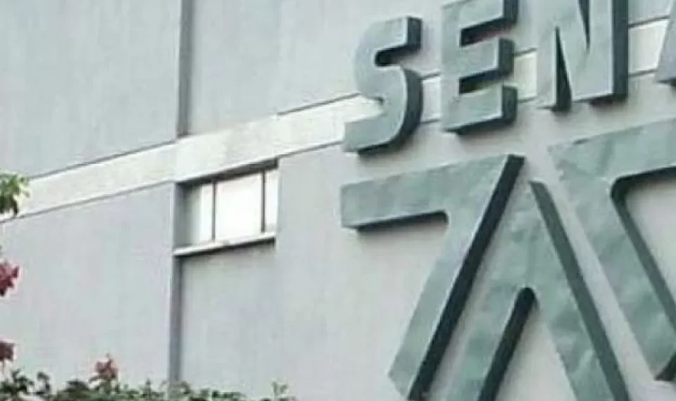 ¿Cuál es el curso virtual del Sena con el que podría ganar hasta 6 millones de pesos?