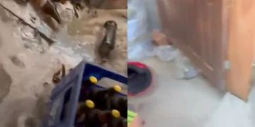 Menina desaparecida em RS é encontrada amarrada em buraco e relata abuso