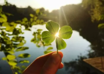 ¿Qué elementos atraen la buena suerte? Hay varios que debería conocer?