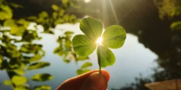 ¿Qué elementos atraen la buena suerte? Hay varios que debería conocer?