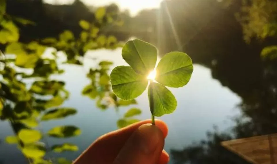 ¿Qué elementos atraen la buena suerte? Hay varios que debería conocer?