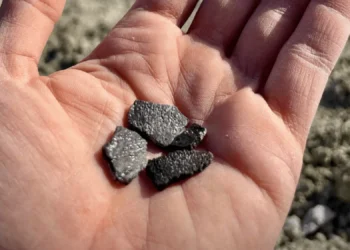 Descoberta histórica: ovos fósseis desvendam mistérios da evolução dos dinossauros