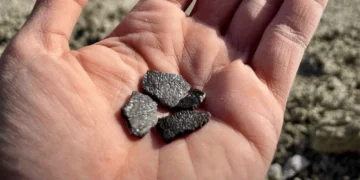 Descoberta histórica: ovos fósseis desvendam mistérios da evolução dos dinossauros