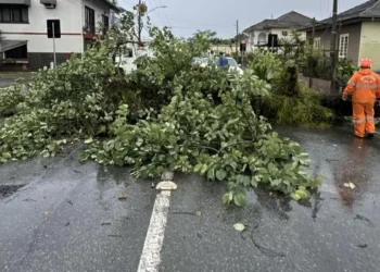 Tempestade e ventos fortes causam danos em Timbó nesta quinta-feira (27)