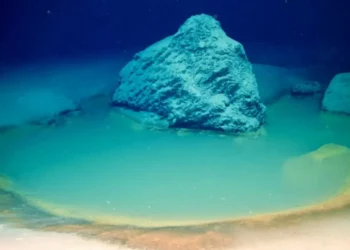 Um dos ambientes mais extremos da Terra: as piscinas de salmoura do Mar Vermelho