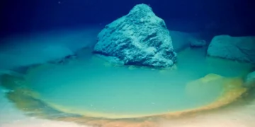 Um dos ambientes mais extremos da Terra: as piscinas de salmoura do Mar Vermelho