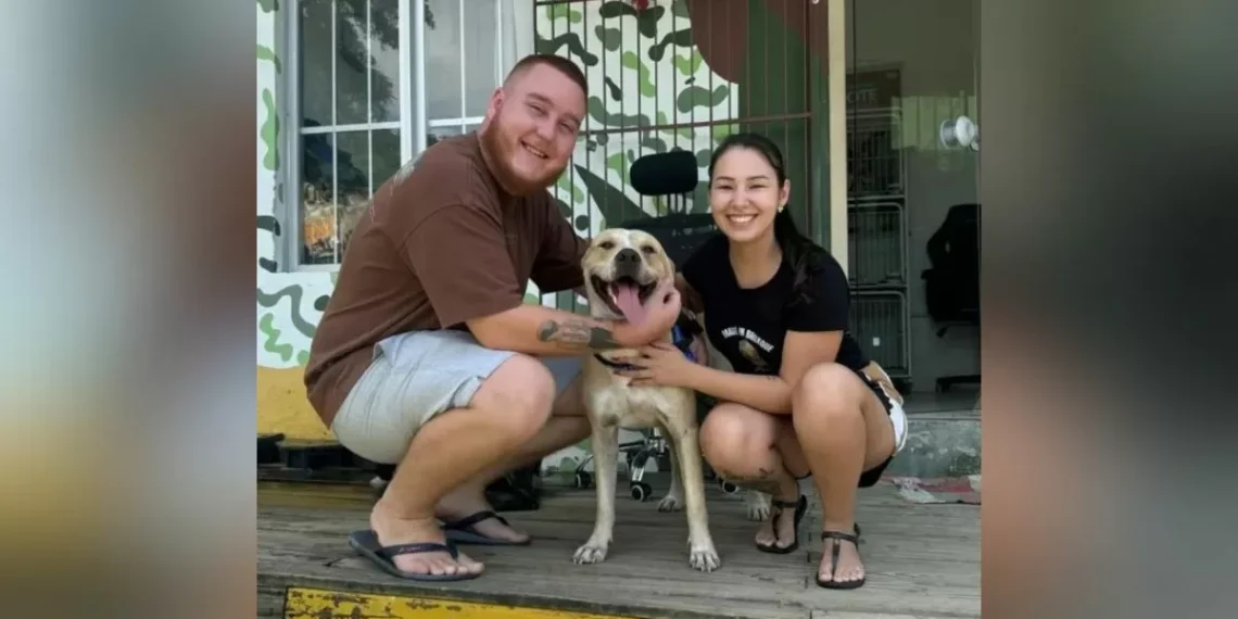 Final feliz: Cachorro que ficou ao lado do tutor morto em BC ganha nova família em Brusque
