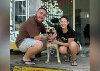 Final feliz: Cachorro que ficou ao lado do tutor morto em BC ganha nova família em Brusque