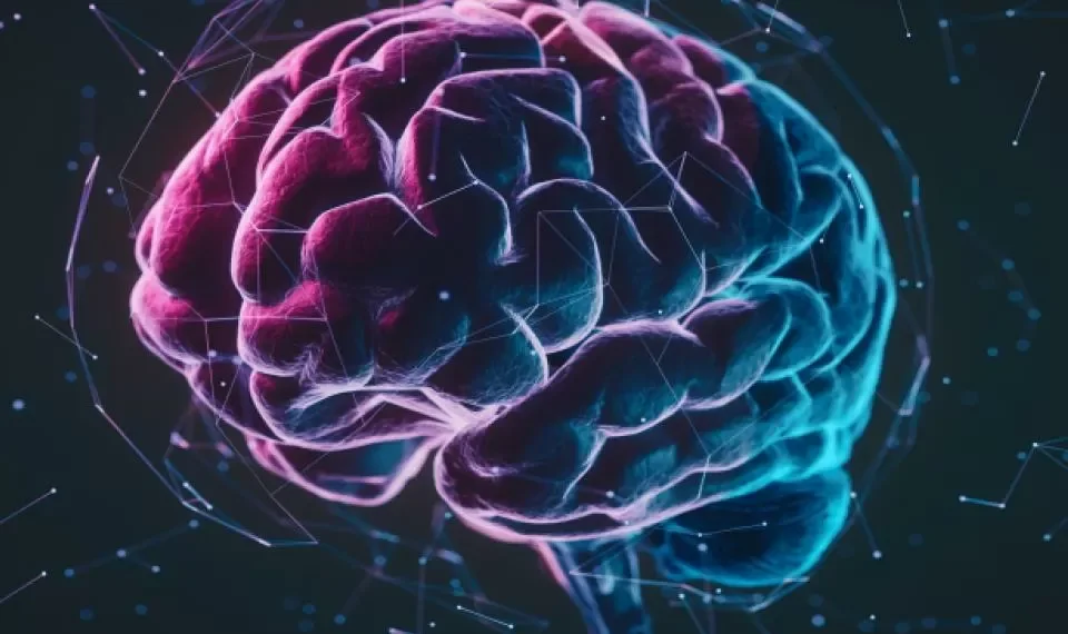 Tenga cuidado: ejercitarse intensamente podría hacer que su cerebro se ‘consuma’