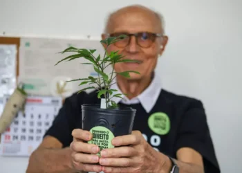 Deputado do PT defende criação de salas seguras para consumo de drogas em SP