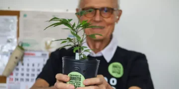 Deputado do PT defende criação de salas seguras para consumo de drogas em SP