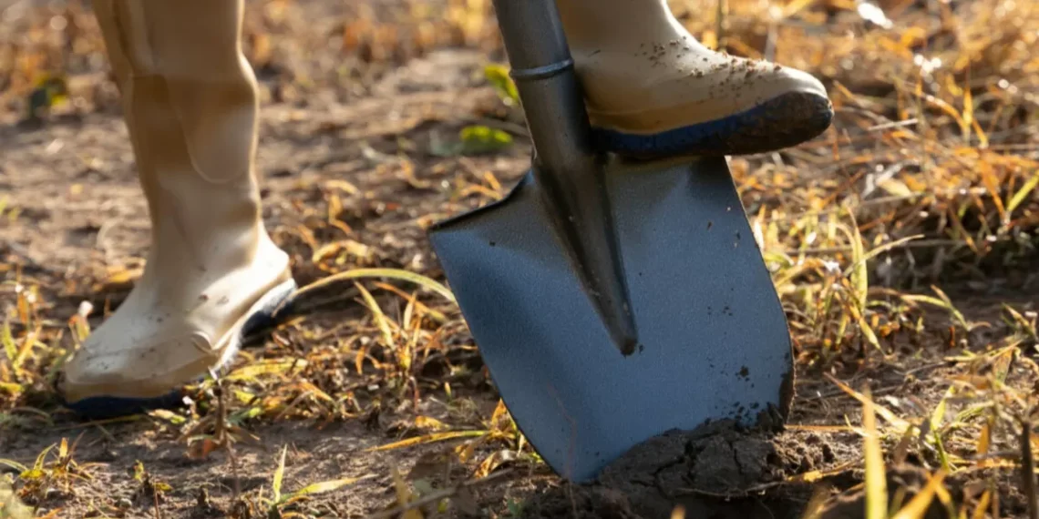 Homem é atacado com facão e pá após discussão sobre dívida de terreno em Brusque