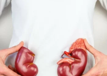 Enfermedad renal crónica: siete consejos para prevenirla