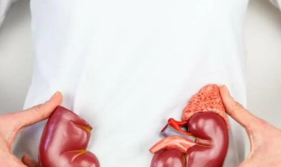 Enfermedad renal crónica: siete consejos para prevenirla