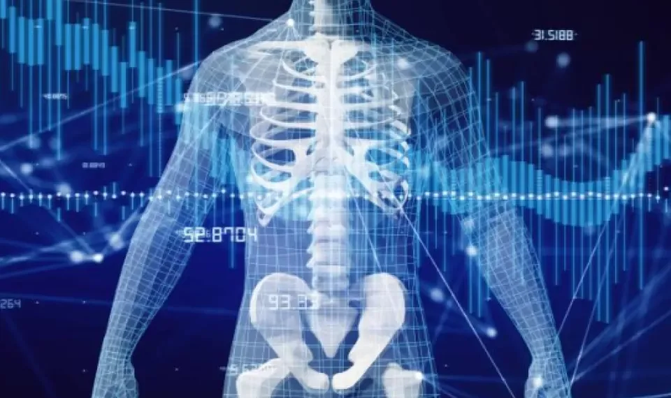 Cuáles son los nutrientes que sirven para cuidar los huesos, además del calcio