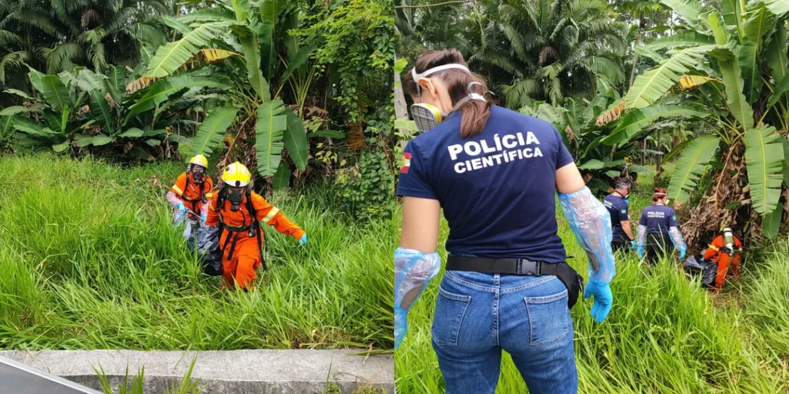 Corpo é encontrado em área de mata às margens da BR-470, em Gaspar