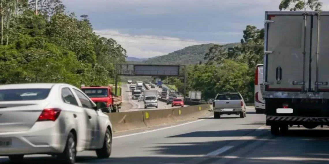 BR-101 em Penha será interditada na madrugada de quinta para poda de árvores