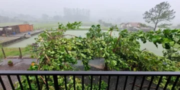 Temporal derruba postes e árvores em Timbó e fecha BR-470 em Apiúna