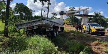 Dois irmãos morrem após caminhão de SC invadir contramão em rodovia do Paraná