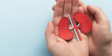 Los alimentos que debería evitar para cuidar sus riñones