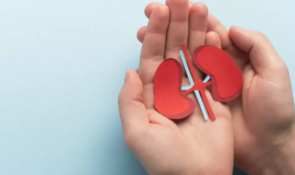 Los alimentos que debería evitar para cuidar sus riñones