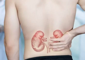 Los alimentos que debería evitar para cuidar sus riñones