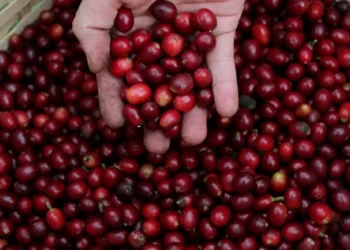 Governo formaliza corte de tarifas de importação de alimentos para frear inflação
