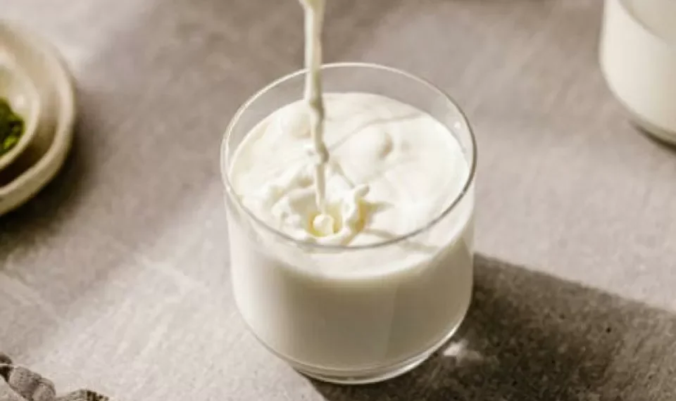 Multas multimillonarias: 4 empresas lecheras fueron sancionadas por engaño ¿cuáles son?