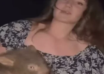 Piden que una ‘influencer’ sea expulsada de Australia tras capturar un wombat bebé