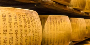 Festival del queso en Sopó: fecha y horario