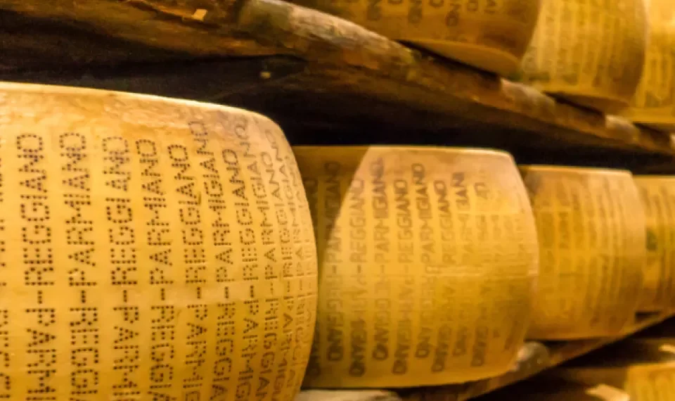 Festival del queso en Sopó: fecha y horario