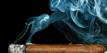 La millonaria suma que pagó un comprador en una subasta de puros en Cuba