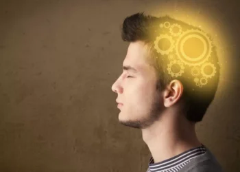 Son enemigos del cerebro: los alimentos que deterioran la memoria y concentración