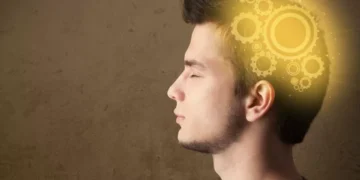 Son enemigos del cerebro: los alimentos que deterioran la memoria y concentración