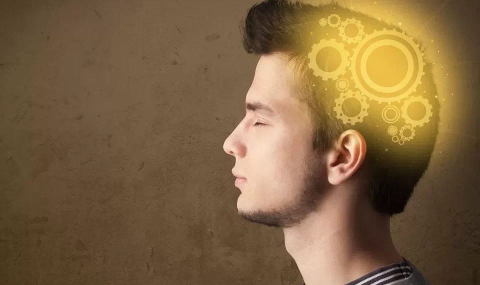 Son enemigos del cerebro: los alimentos que deterioran la memoria y concentración