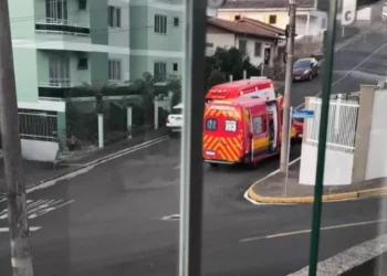 Criança de 3 anos morre após ser esquecida em carro o dia inteiro em SC