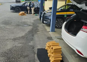 PRF intercepta três carros com maconha durante feriadão em SC; cinco foram presos