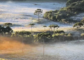 Frio intenso provoca geada e cidade de SC registra a menor temperatura do ano
