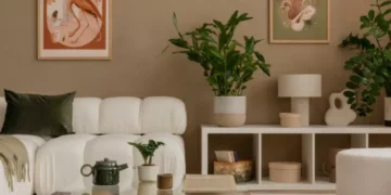 Reemplácela: esta es la planta que debe cambiar porque ‘absorbió las malas energías’