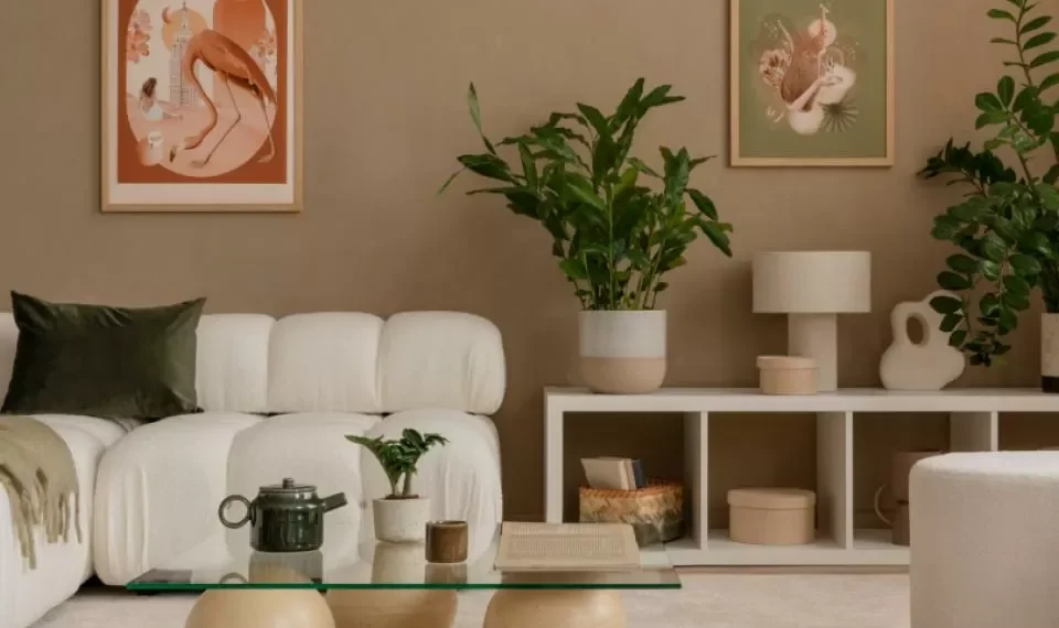 Reemplácela: esta es la planta que debe cambiar porque ‘absorbió las malas energías’