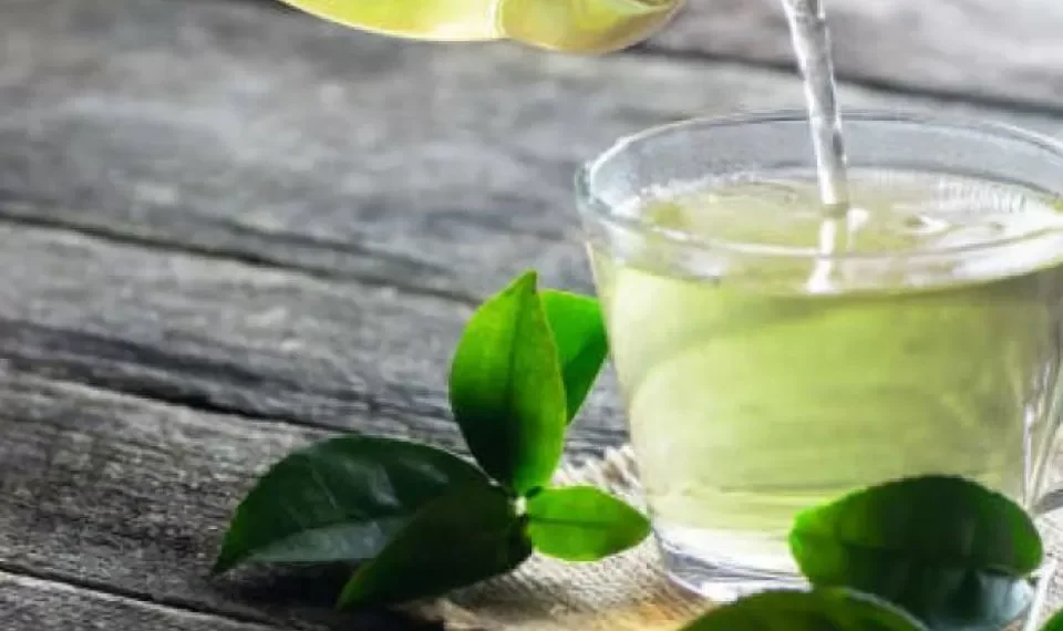 ¿Necesita bajar de peso? Estos son los tés naturales que pueden ayudarle