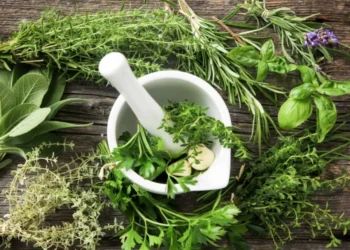 Antiinflamatoria y antibacteriana: la hierba más sencilla que puede cultivar en su casa