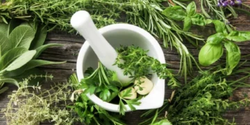 Antiinflamatoria y antibacteriana: la hierba más sencilla que puede cultivar en su casa