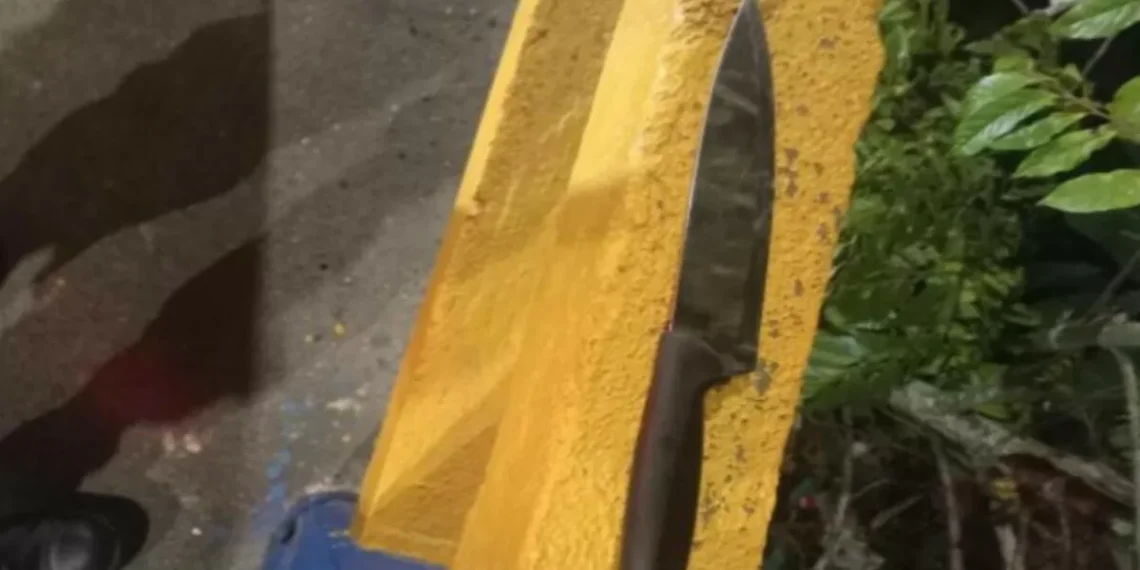 Homem é detido após invadir residência armado com faca e ameaçar moradores em Rio do Sul