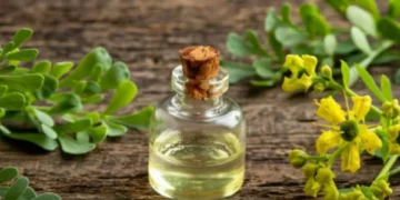 Ritual para Semana Santa 2025: ¿por qué es importante hervir hojas de ruda?