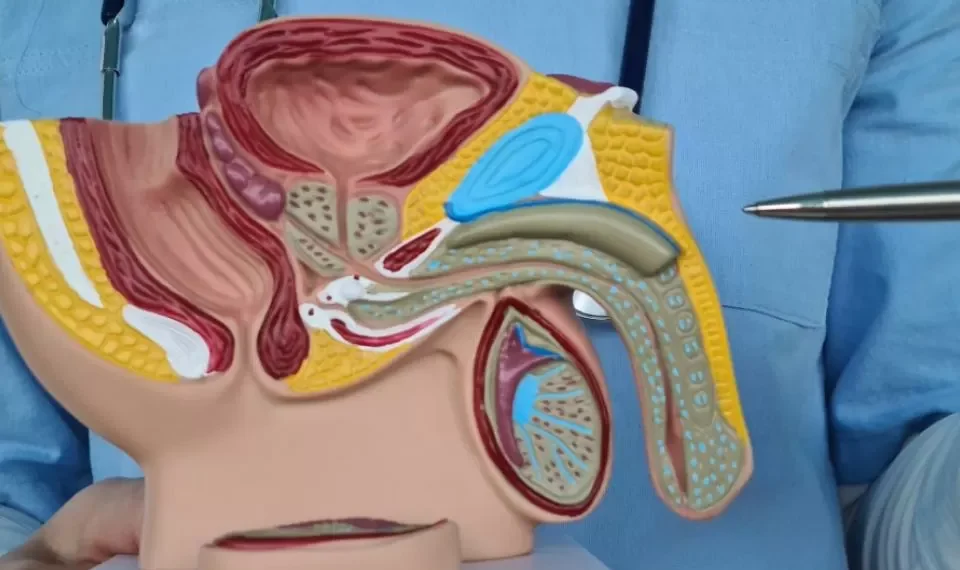 Lo dicen los expertos: ¿cómo me doy cuenta de que estoy mal de la próstata?