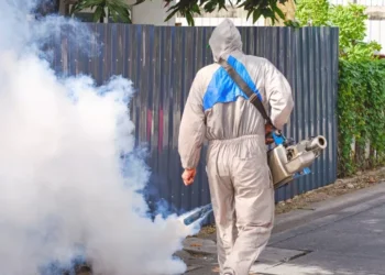 Fumacê contra dengue começa a ser aplicado em 17 ruas do bairro Pomeranos