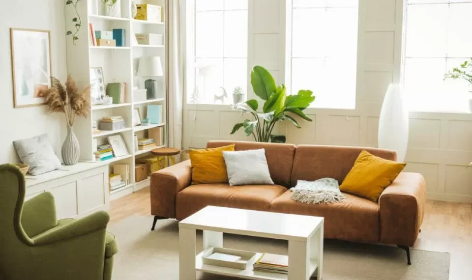 Téngala en cuenta: ¿cuál es la planta que armoniza su hogar?